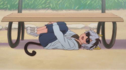 Uchitama?! Have You Seen My Tama? Season 1 Episode 3 - Our Waiha