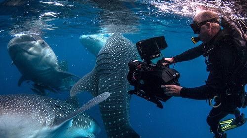 Islands in Time: A Wildlife Odyssey Season 1 Episode 2 - Bewitched by the Moon