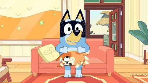 Bluey Minisodes Season 1 Episode 9 - Government