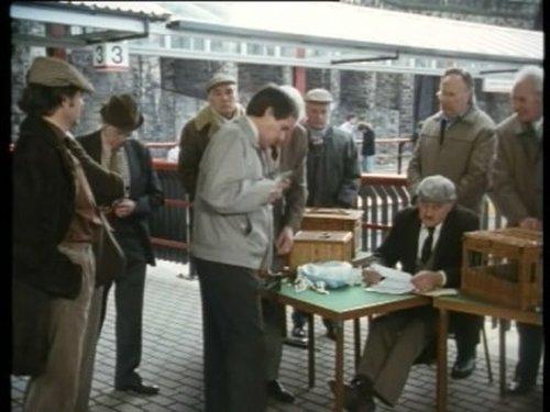Minder Season 8 Episode 7 - A Bird in the Hand is Worth Two in Shepherd's Bush
