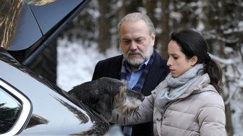 The Old Fox Season 45 Episode 2 - Episode 2