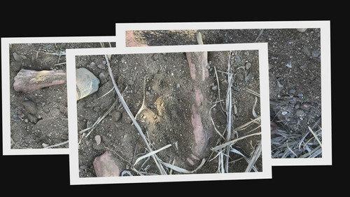 Buried In The Backyard Season 2 Episode 1 - Guilt Or Innocence