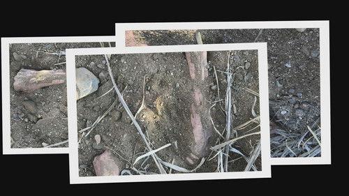 Buried In The Backyard Season 2 Episode 1 - Guilt Or Innocence