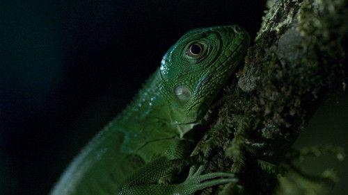 Dead By Dawn Season 1 Episode 5 - Stranger Things