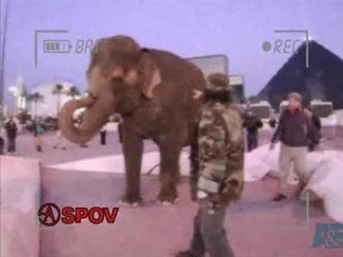 Criss Angel Mindfreak Season 3 Episode 6 - Animal 2