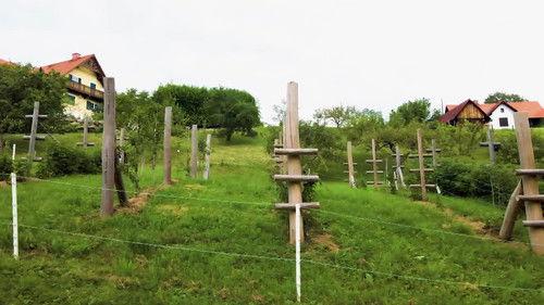 Natur im Garten Season 25 Episode 12 - Episode 12