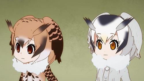 Kemono Friends Season 1 Episode 7 - Japari Library