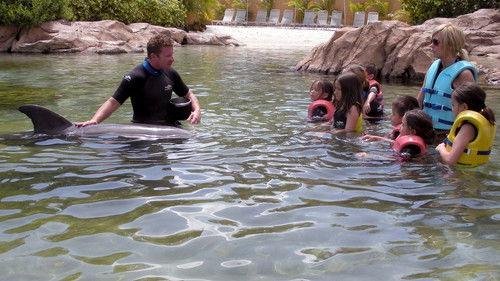 Kate Plus 8 Season 1 Episode 1 - 6th Birthday Surprise