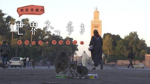 Mitsuaki Iwago's World “Cats” Travelogue Season 1 Episode 6 - Marrakesh, Morocco