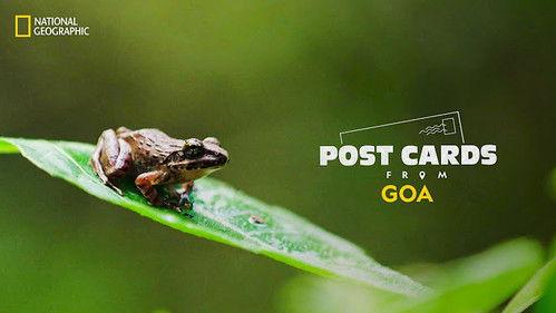 Postcards From Goa Season 1 Episode 1 - Wildlife