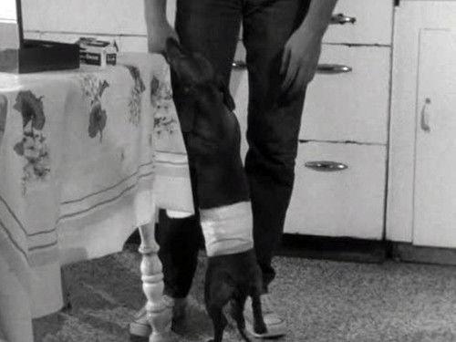 Route 66 Season 3 Episode 30 - Shadows of an Afternoon