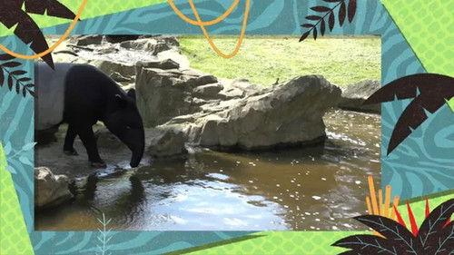 Kukurota Season 2 Episode 10 - Episode 10