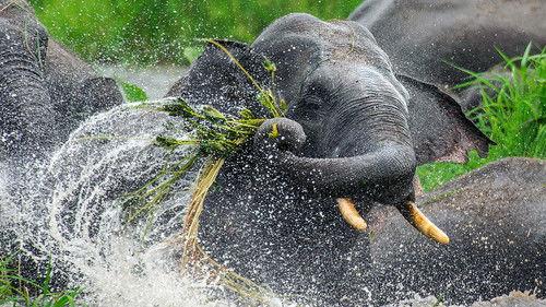 Australia Remastered Season 5 Episode 1 - A Separate Realm