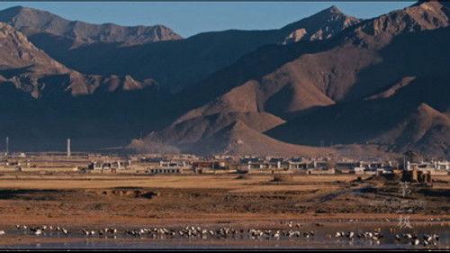 Roof of the World Season 1 Episode 1 - Life's Companions