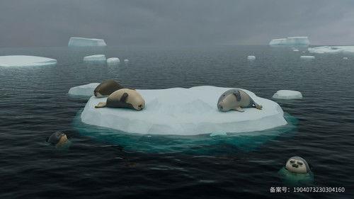 씰룩 Season 1 Episode 17 - Episode 17