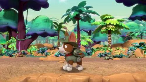 PAW Patrol Season 10 Episode 24 - Jungle Pups: Pups Find a Hidden Jungle
