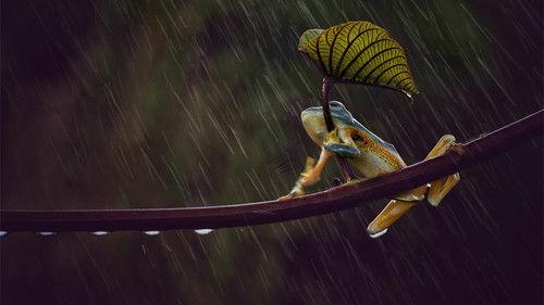 Australia Remastered Season 6 Episode 1 - Cyclone