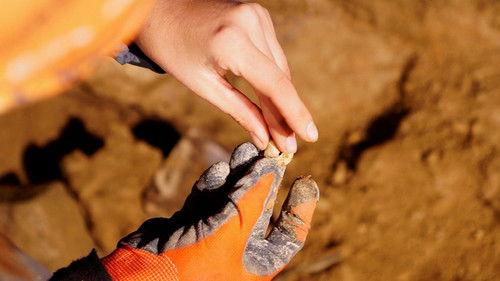 Ancient Aliens Season 19 Episode 3 - Mystery of the Lost Civilization