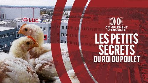 Complément d'enquête Season 25 Episode 11 - Episode 11