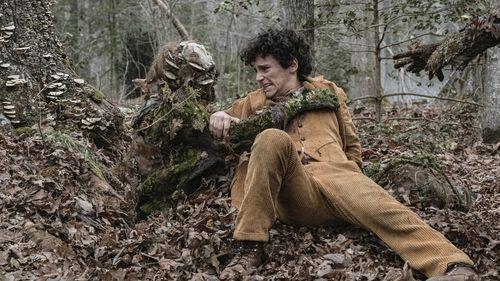 Background image for Exit Wounds