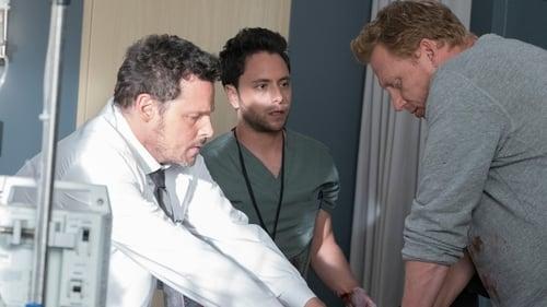 Grey's Anatomy Season 16 Episode 4 - It's Raining Men