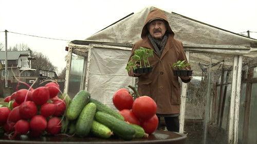 The investigation was conducted Season 12 Episode 14 - Episode 14