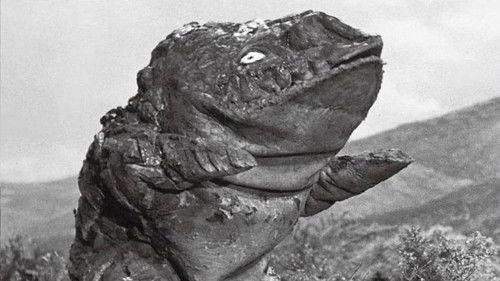 Background image for S.O.S. Mount Fuji