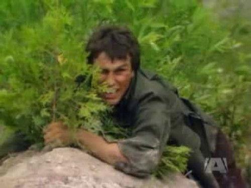 The Littlest Hobo Season 3 Episode 3 - Wolf Hunt