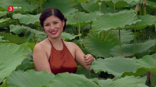 With the Train Through... Season 16 Episode 1 - Episode 1