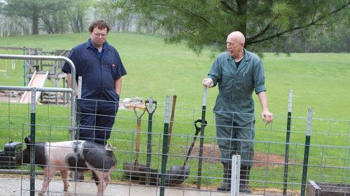 The Incredible Dr. Pol Season 2 Episode 17 - What’s Up, Doc?