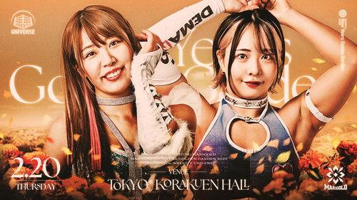 Dream Star★Fighting Marigold Season 2 Episode 12 - MARIGOLD New Years Golden Garden 2025 - Night 11