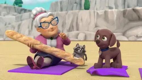 PAW Patrol Season 10 Episode 1 - Pups Save the Wacky Water Skiers