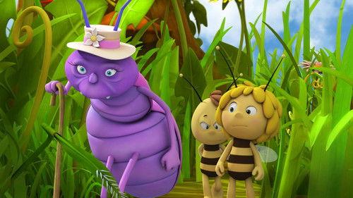 Maya the Bee Season 1 Episode 23 - Mrs Hermit Beetle's Journey