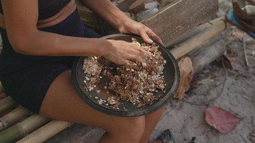Robinson Season 26 Episode 17 - Episode 17