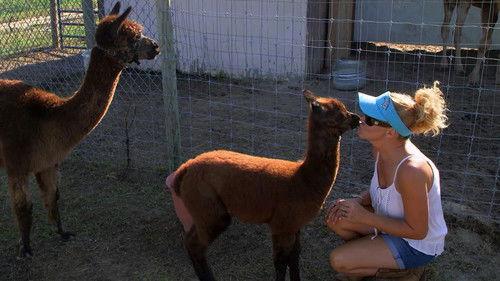 Background image for Welcome to the Family