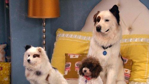 Dog with a Blog Season 3 Episode 18 - The Puppies Talk