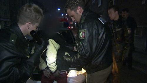 Toto & Harry Season 2 Episode 8 - Episode 8