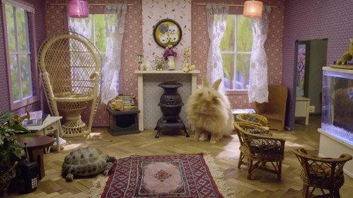 Poesjes Season 1 Episode 7 - Episode 7