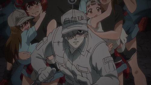 Cells at Work! Season 1 Episode 11 - Heat Stroke