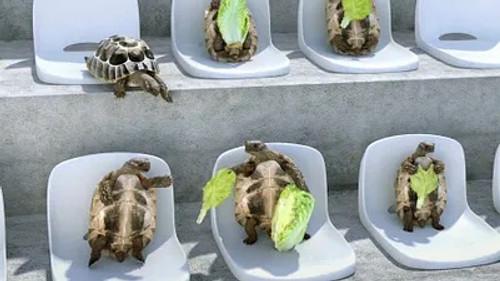 Athleticus Season 1 Episode 11 - Episode 11