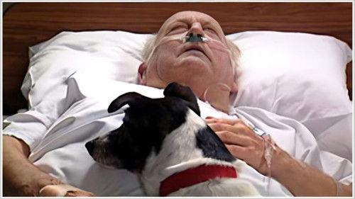 All Saints Season 4 Episode 23 - Maiden's Revenge