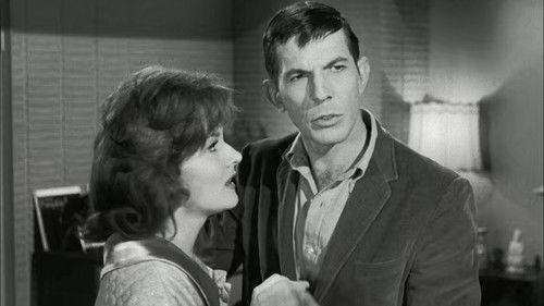 Perry Mason Season 6 Episode 13 - The Case of the Shoplifter's Shoe