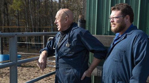 The Incredible Dr. Pol Season 5 Episode 2 - The Amazing Dr. Brenda