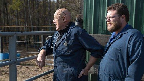 The Incredible Dr. Pol Season 5 Episode 2 - The Amazing Dr. Brenda