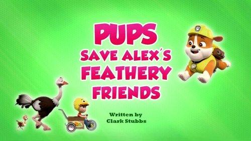 PAW Patrol Season 9 Episode 30 - Pups Save Alex's Feathery Friends