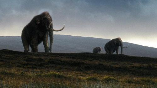 NOVA Season 49 Episode 3 - Great Mammoth Mystery