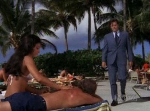 Hawaii Five-O Season 4 Episode 12 - Nine, Ten -- You're Dead