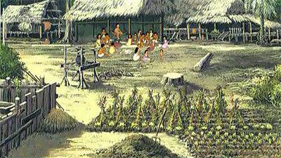 Background image for Amazon forest