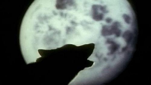 Superscience Season 3 Episode 1 - Moon Mysteries