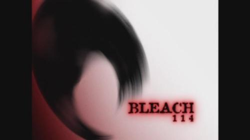 undefined Season 1 Episode 114 - Reunion, Ichigo and Rukia and Soul Reapers